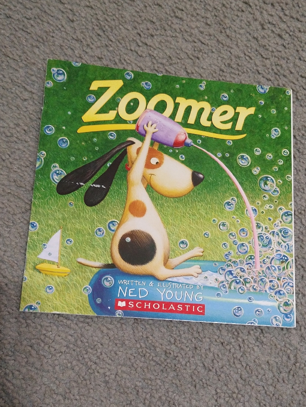 ✨✨✨ Zoomer Children's Book